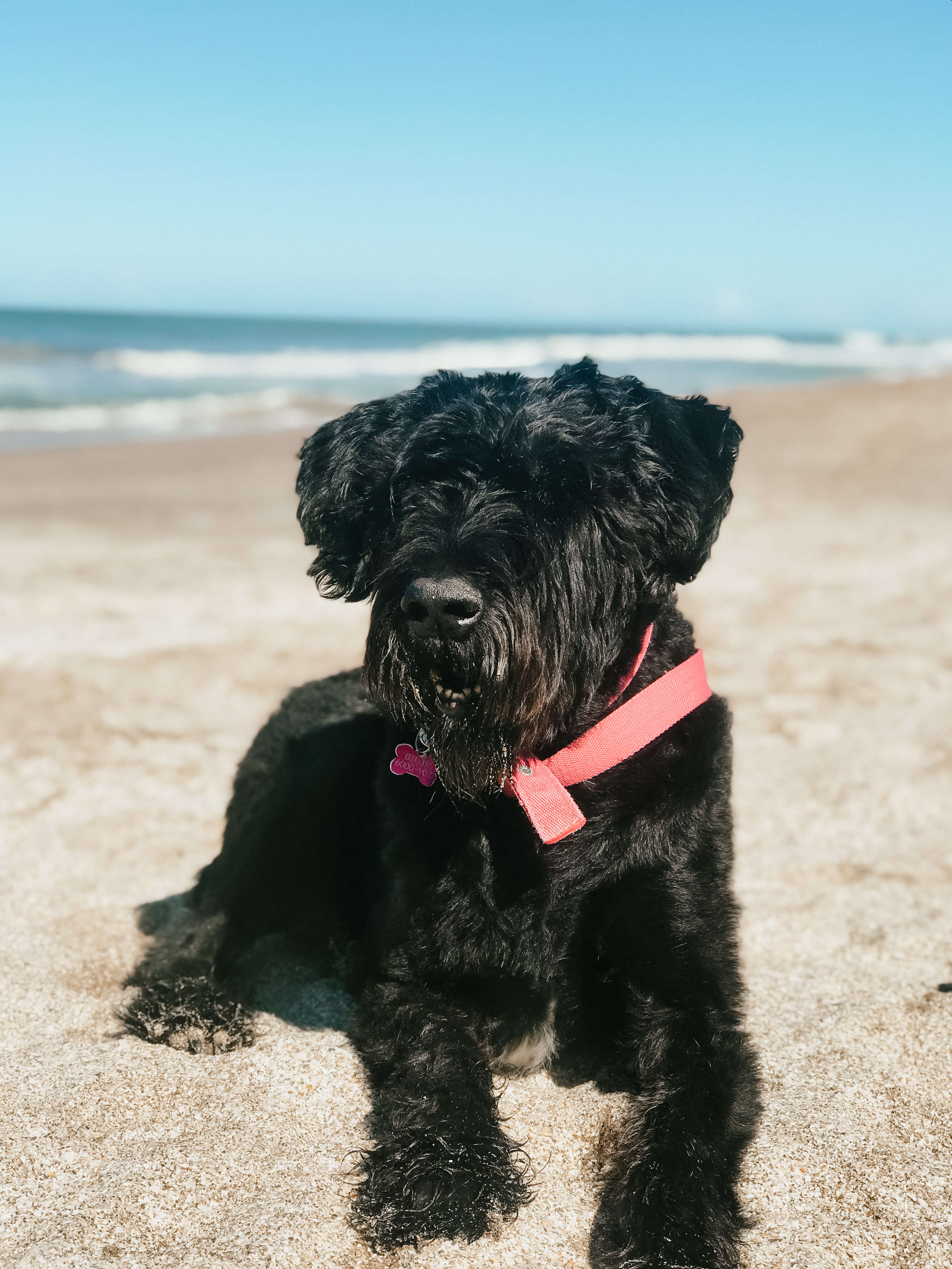 Finna en la playa